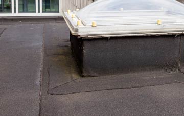disadvantages of Streatham Park flat roofs
