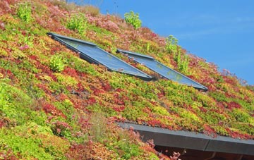 Streatham Park living roof systems