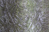 Streatham Park fibreglass roof work